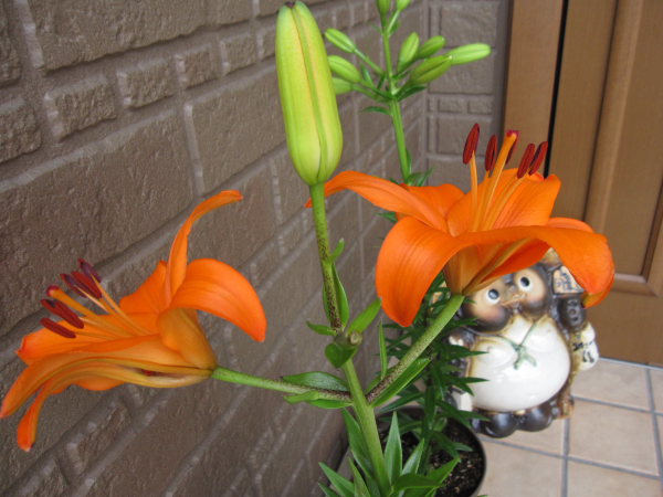 b0055171_15392829.jpg