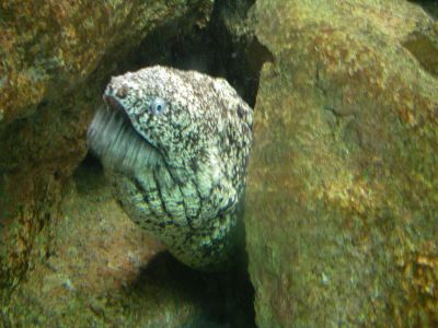 e0143671_10212584.jpg