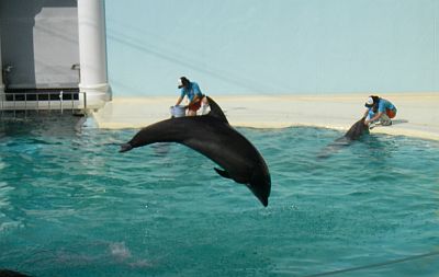 e0143671_10223287.jpg