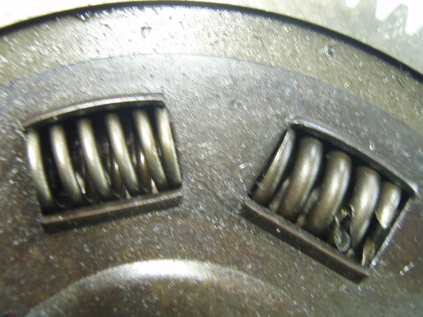 d0067477_140691.jpg