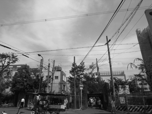 d0097288_22532131.jpg