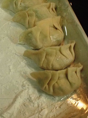 餃子の皮_e0167593_0564679.jpg
