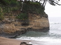 静かな海岸～鵜の岬_f0100194_8411181.jpg