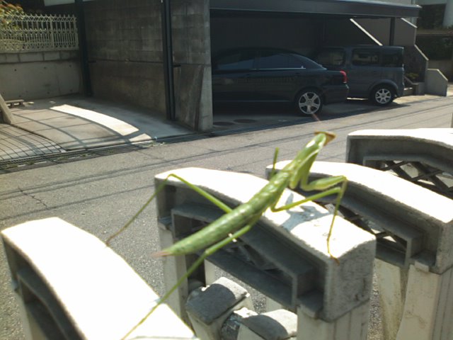 f0077595_18392989.jpg