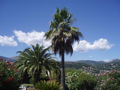 e0073196_17172080.jpg
