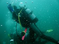 f0079996_11512280.jpg