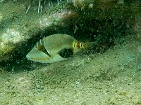 f0079996_2071633.jpg