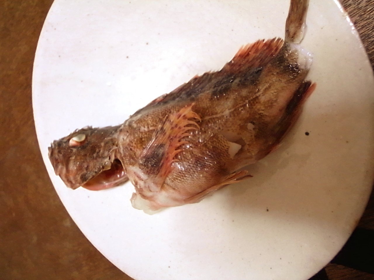 【魚】カサゴやメバルのマース(塩)煮_d0122797_0103577.jpg