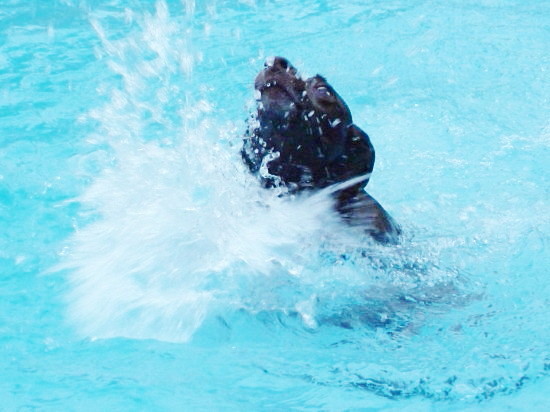 c0044199_11453741.jpg