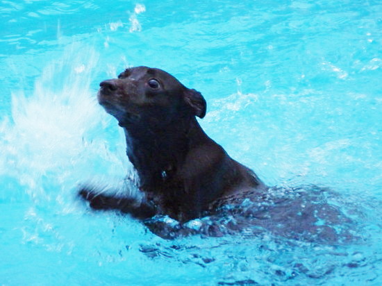 c0044199_11454759.jpg