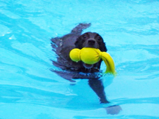 c0044199_11461965.jpg