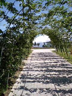 b0046200_141707.jpg