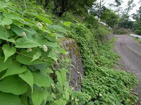 c0196900_21581415.jpg
