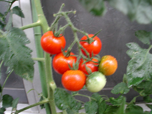 c0148401_13221037.jpg