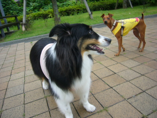 e0130008_2382969.jpg