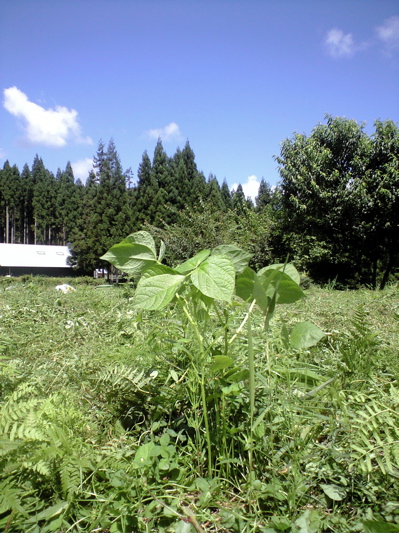 f0135908_22502572.jpg