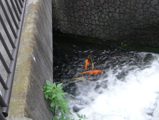 c0097309_2129563.jpg
