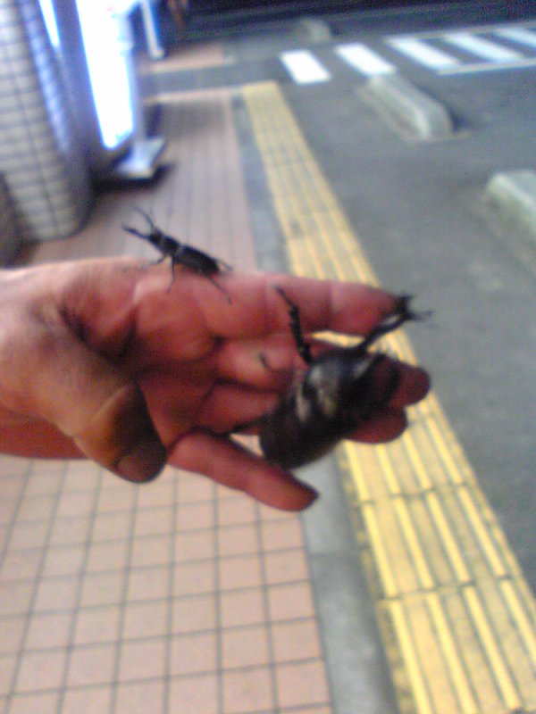 c0128914_234069.jpg