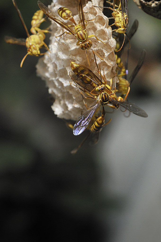 b0148016_041145.jpg