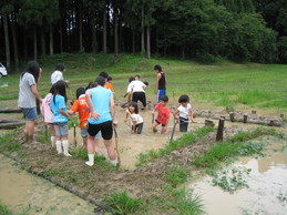 越前里地里山チャレンジ隊2009を開催しました_e0061225_13463878.jpg