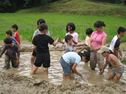 越前里地里山チャレンジ隊2009を開催しました_e0061225_13464973.jpg