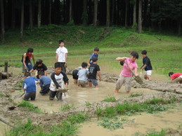 越前里地里山チャレンジ隊2009を開催しました_e0061225_13474316.jpg