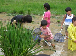 越前里地里山チャレンジ隊2009を開催しました_e0061225_14432159.jpg