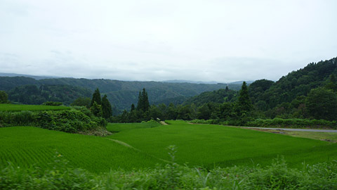 e0089826_2228453.jpg