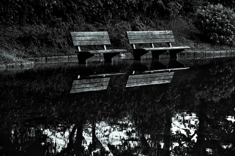 c0198227_2256937.jpg