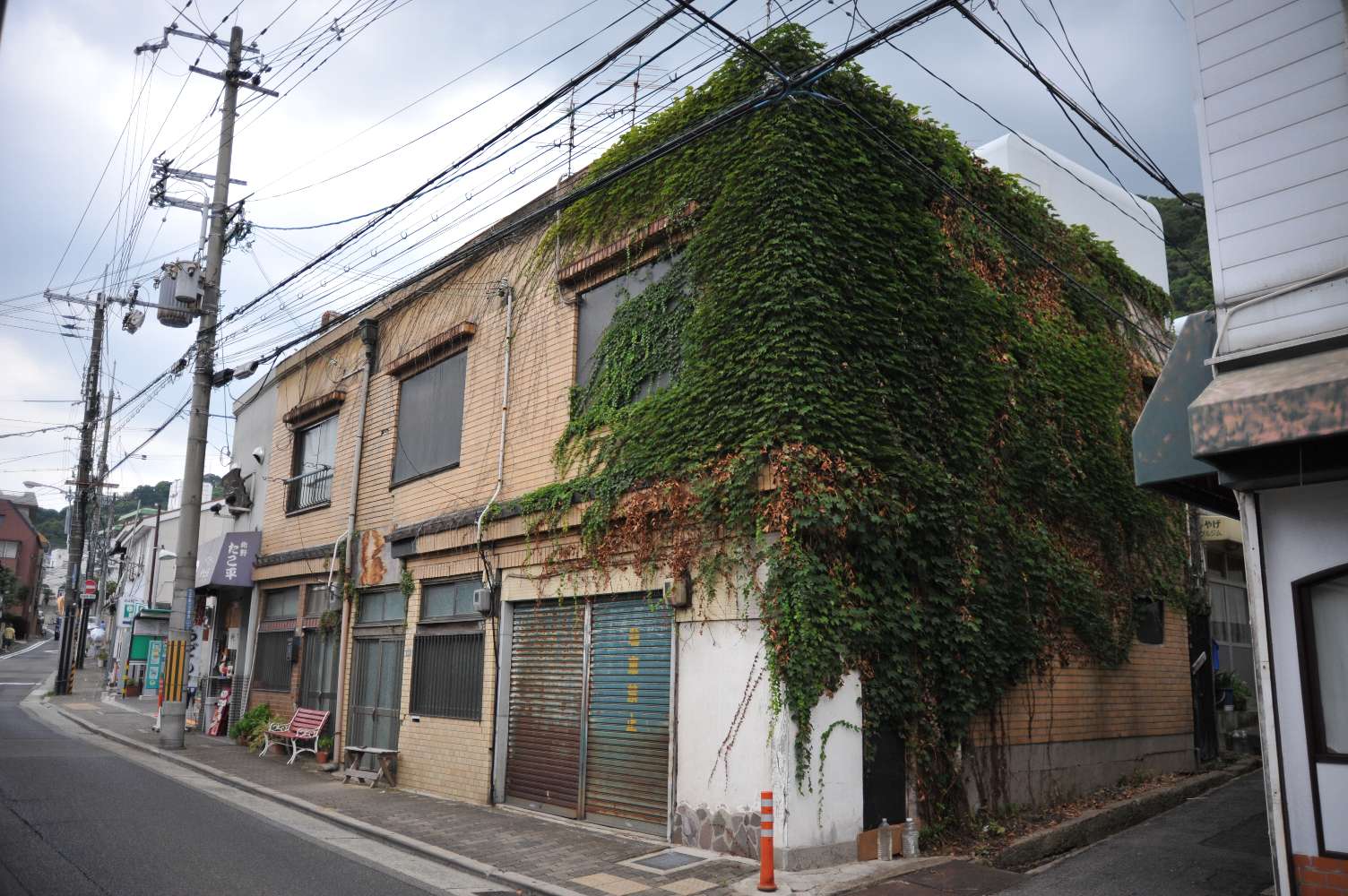 b0069128_19135510.jpg