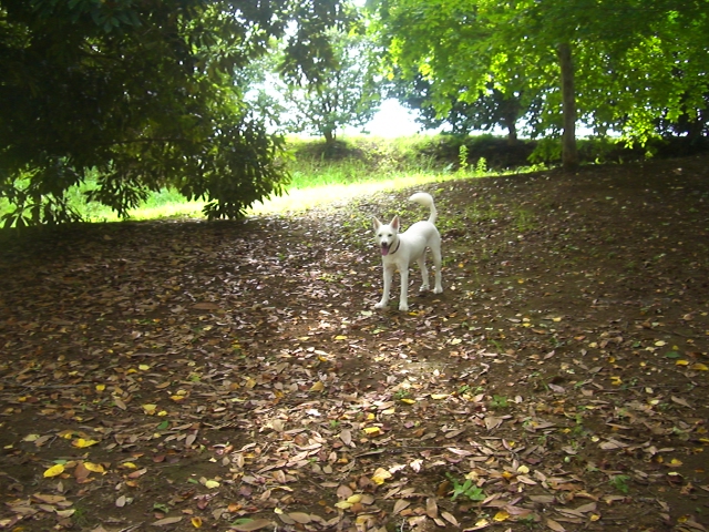 c0123029_13512446.jpg