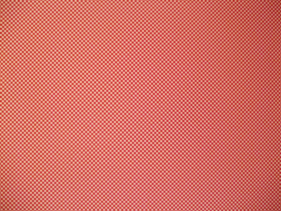 1055)　ＣＡＩ02　「RED × ORIGINAL COLOR　　20人の情熱かたち展」　7月31日（金）～8月6日（木）  _f0126829_032558.jpg
