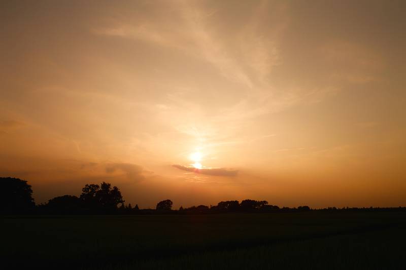 荒川サイクリングロード風景_e0186631_0353658.jpg