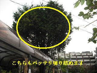 ゴミ処理・搬出 次の準備_f0031037_2065116.jpg