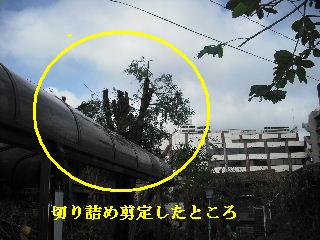 ゴミ処理・搬出 次の準備_f0031037_207474.jpg