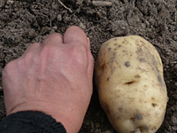 a0137240_15265417.jpg