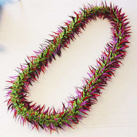 Bottle Brush ボトル ブラシ_c0196240_13592668.jpg