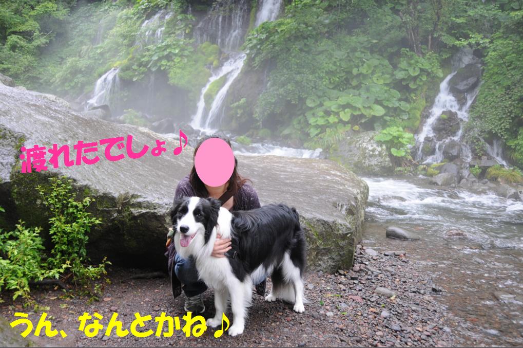 c0147241_22122640.jpg