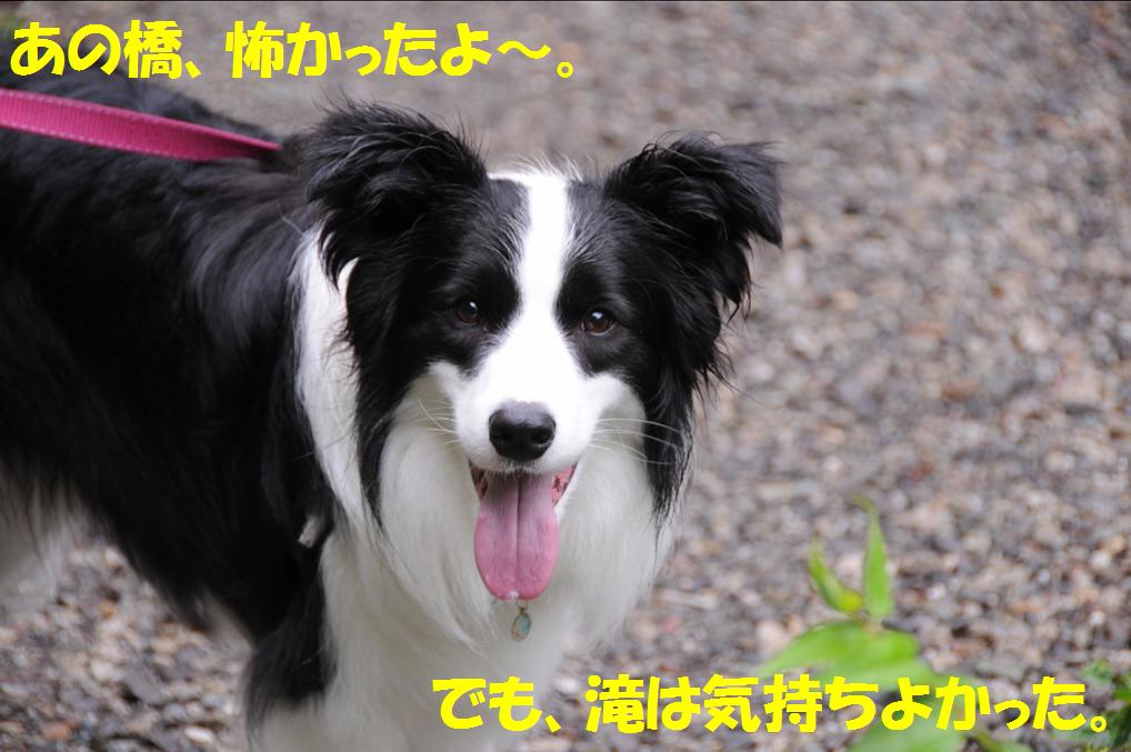 c0147241_2213022.jpg