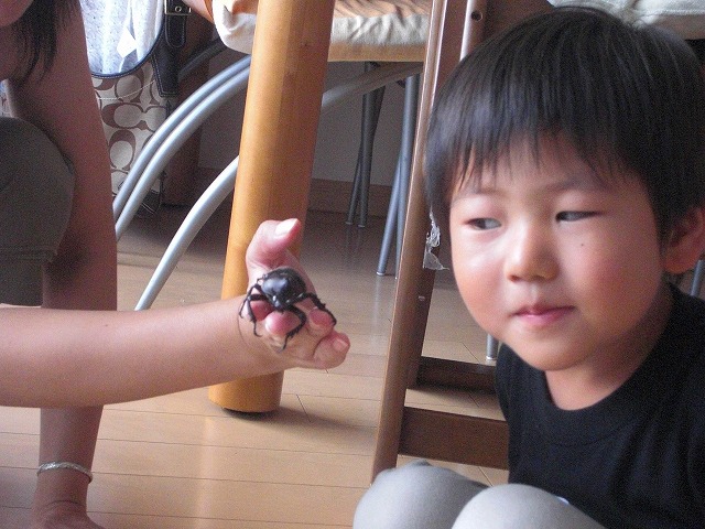 c0012043_21265097.jpg