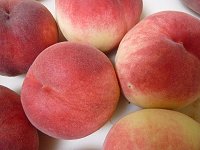 楽しい田舎暮し♪_f0019247_21512049.jpg
