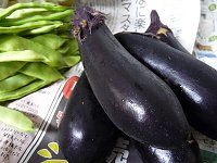 楽しい田舎暮し♪_f0019247_21515014.jpg