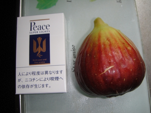 c0108460_173921100.jpg