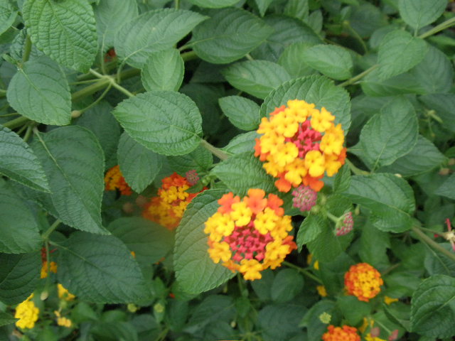 b0157276_21173431.jpg