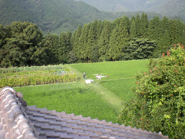 田んぼの予防_d0040076_17543785.jpg