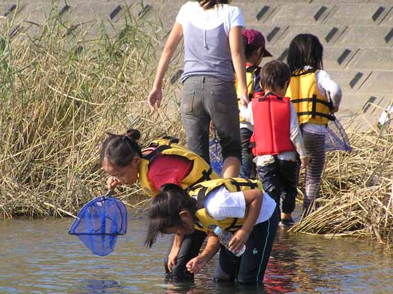 c0091679_175380.jpg
