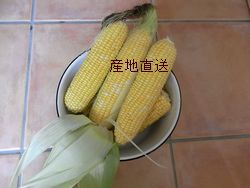 c0198485_1471860.jpg