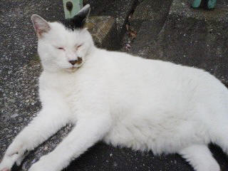 f0091785_20514823.jpg