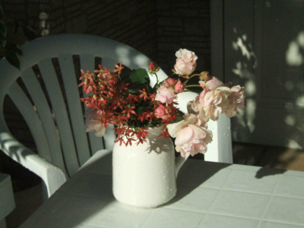 d0099791_21372962.jpg