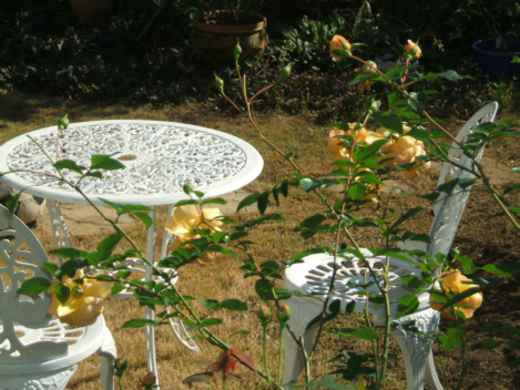d0099791_22384724.jpg